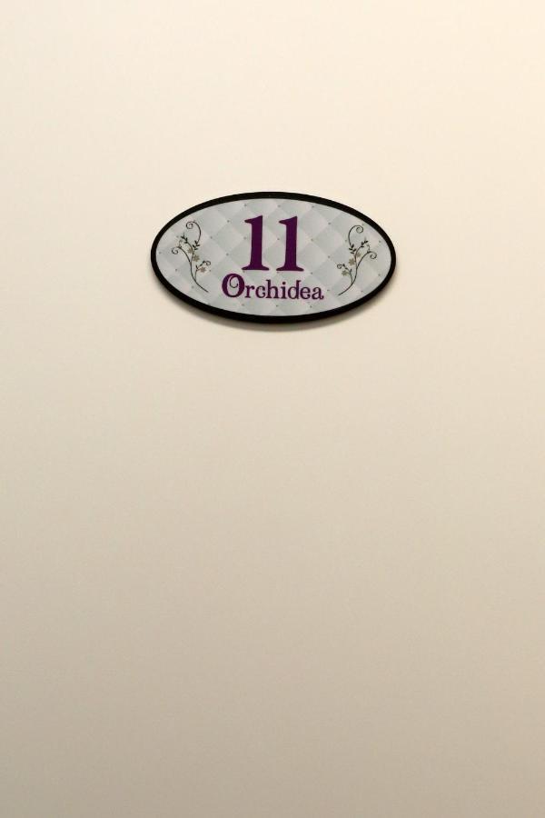 Orchidea Rooms & Suites Чивитанова-Марке Экстерьер фото